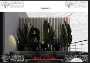 Снимок экрана 2025-12-20 135305